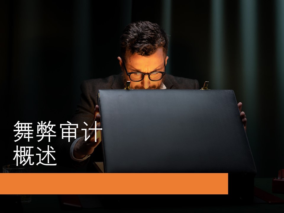 舞弊审计概述