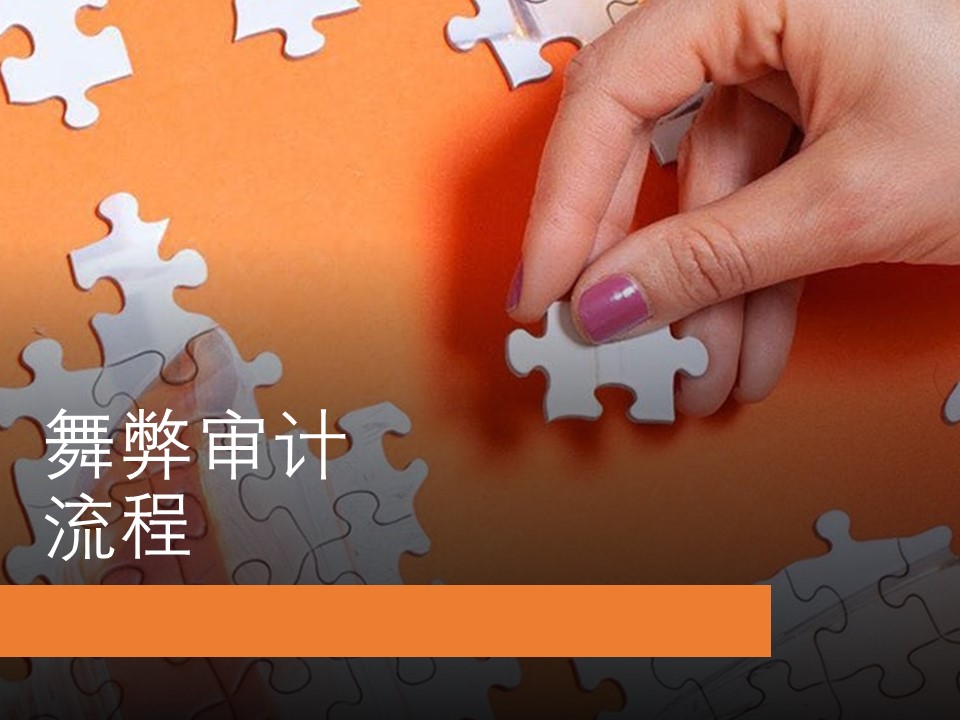 舞弊审计流程