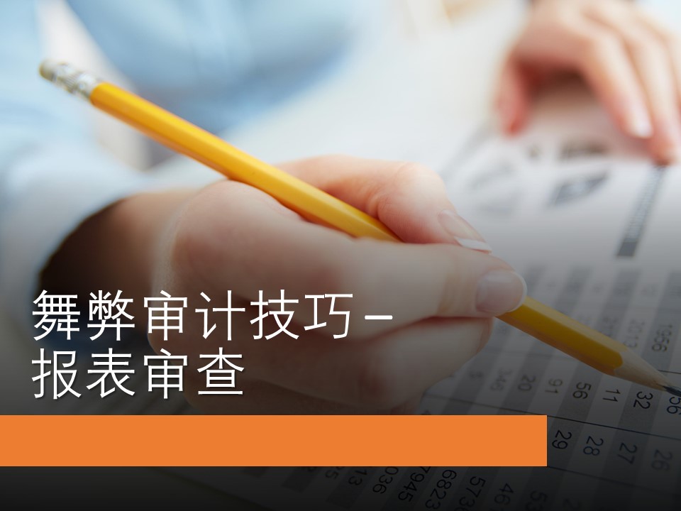 模块五：舞弊审计技巧三 - 报表审查