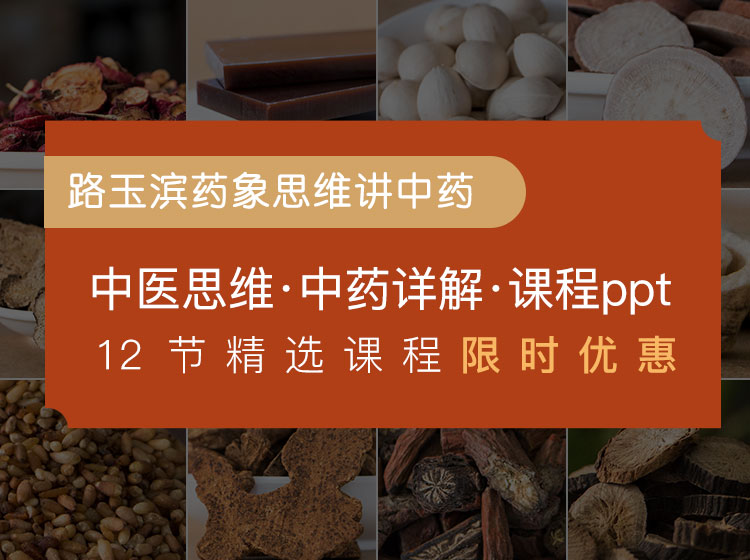 路玉滨药象思维讲中药