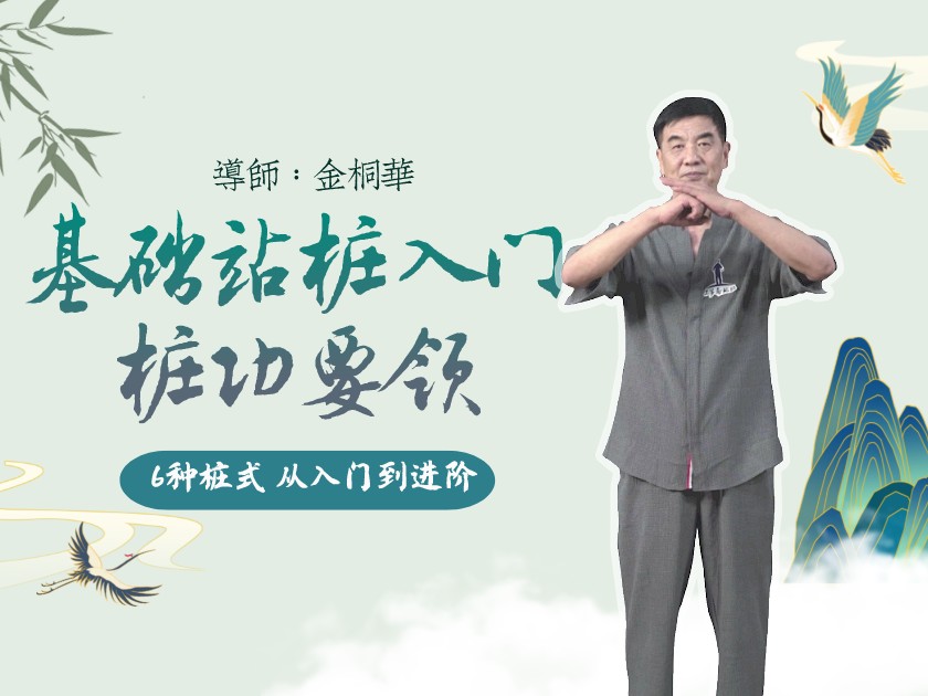王芗斋站桩零基础入门课-桩功要领