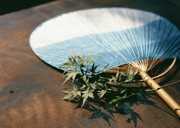 .jpg VCG41122668713.jpg