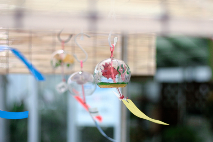 .jpg VCG41498071391.jpg