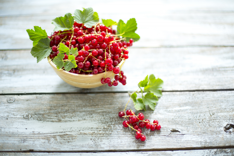 .jpg VCG41668764891.jpg