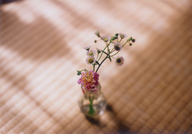 .jpg VCG41113853421.jpg