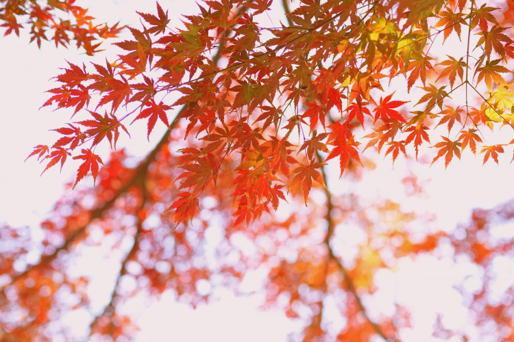 .jpg VCG21gic13425339.jpg