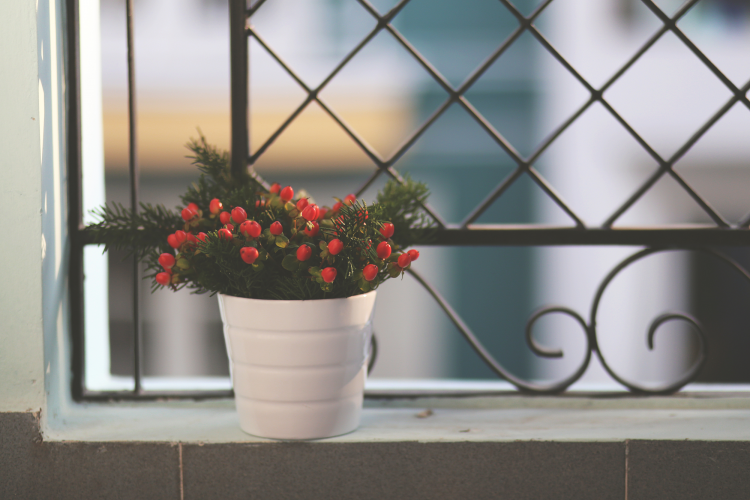 .jpg VCG41603753641.jpg