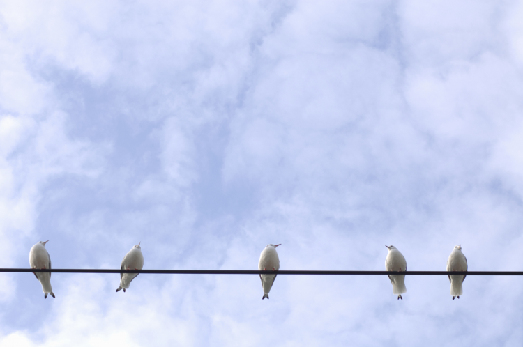 .jpg VCG41sb10066871f-001.jpg