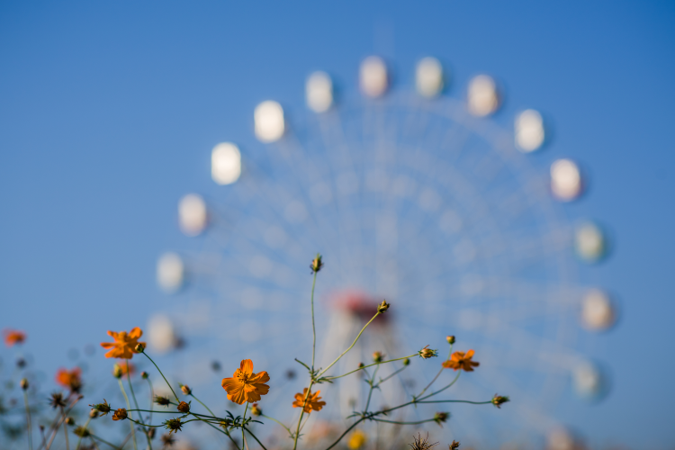 .jpg VCG211168693620.jpg