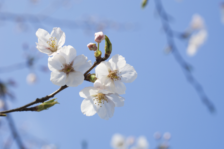 .jpg VCG4190429939.jpg