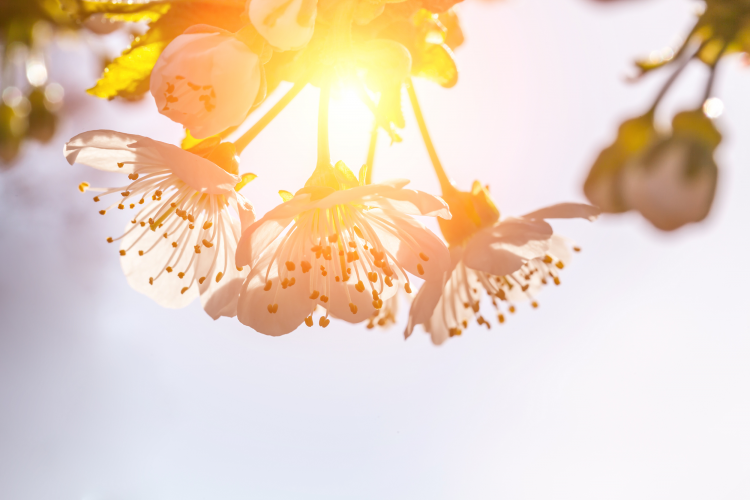 .jpg VCG21gic20033061.jpg