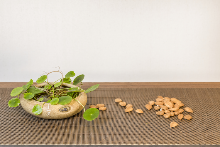 .jpeg VCG211157240073.jpeg