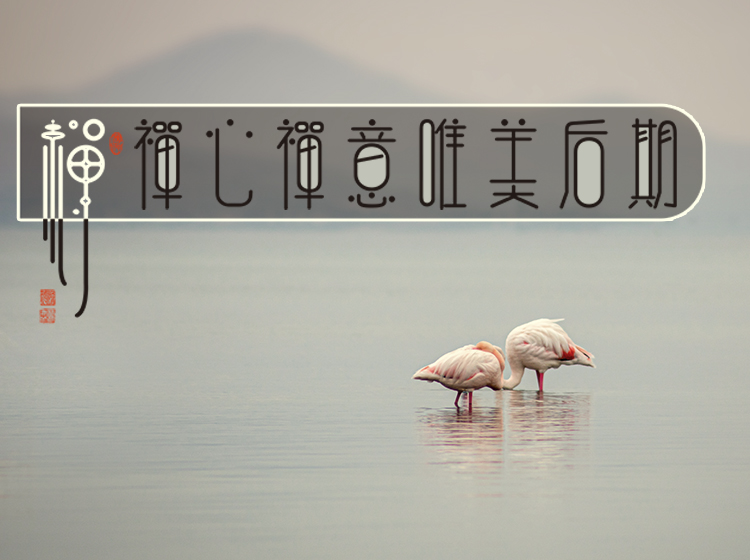 禅心禅意唯美后期