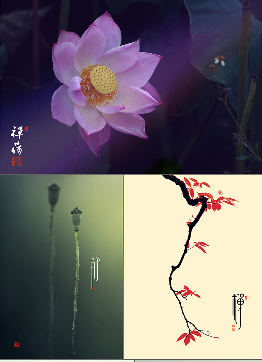 禅心禅意唯美后期