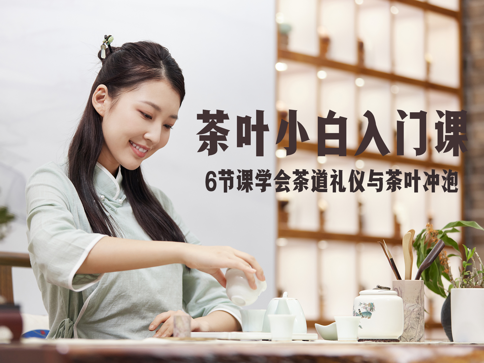 茶叶小白入门课