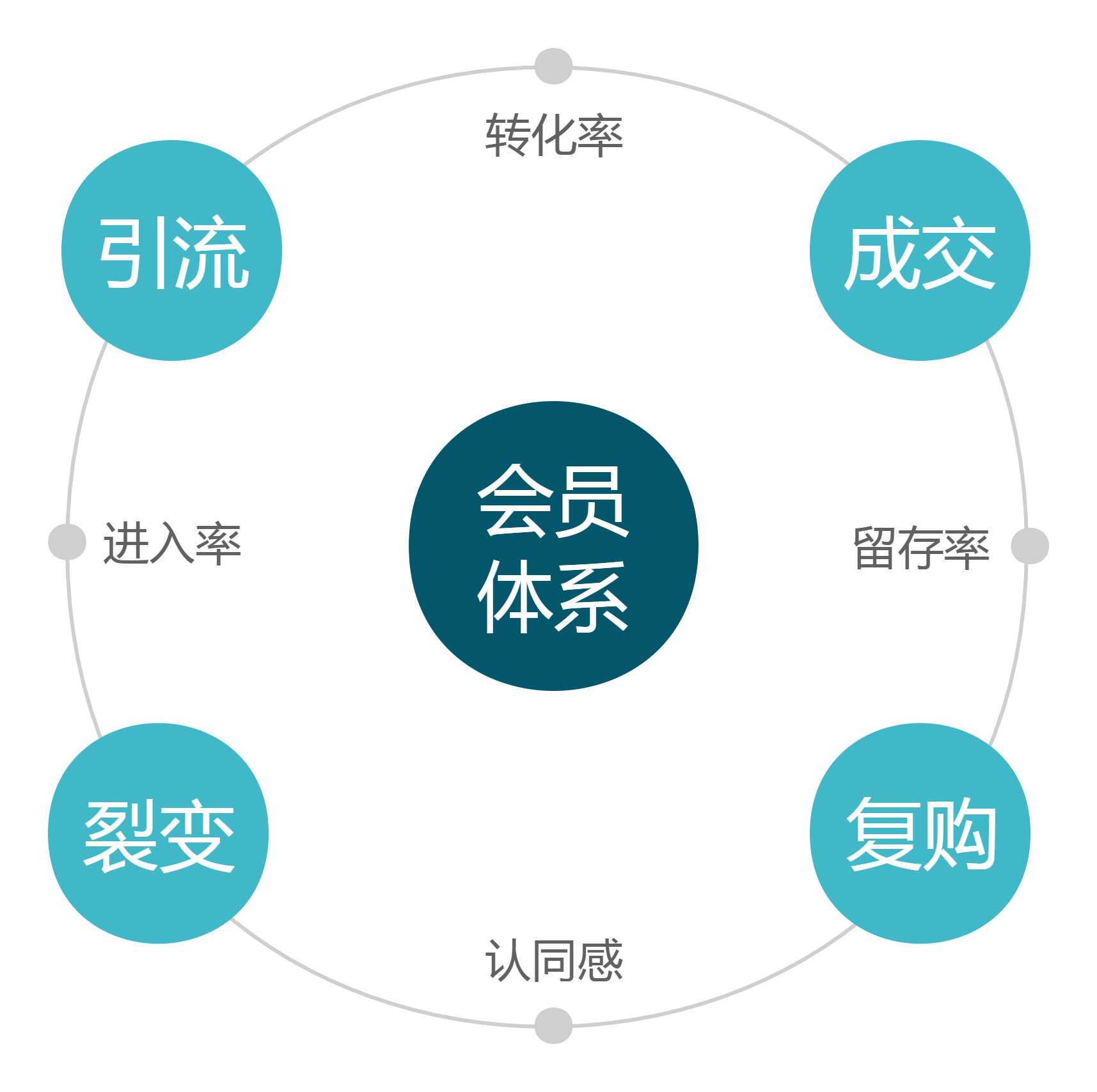 让营收十倍增长的会员制