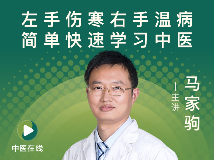 马家驹--左手伤寒，右手温病 简单快速学习中医