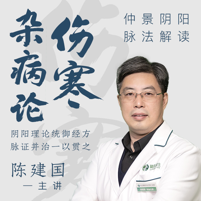 陈建国-仲景阴阳脉法解读《伤寒杂病论》线上私塾班 报名通道