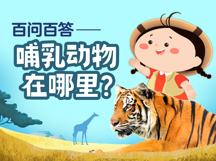 上新好课 | 30种哺乳动物，200多个趣味问题，探索不一样的动物世界，提升孩子的科学素养