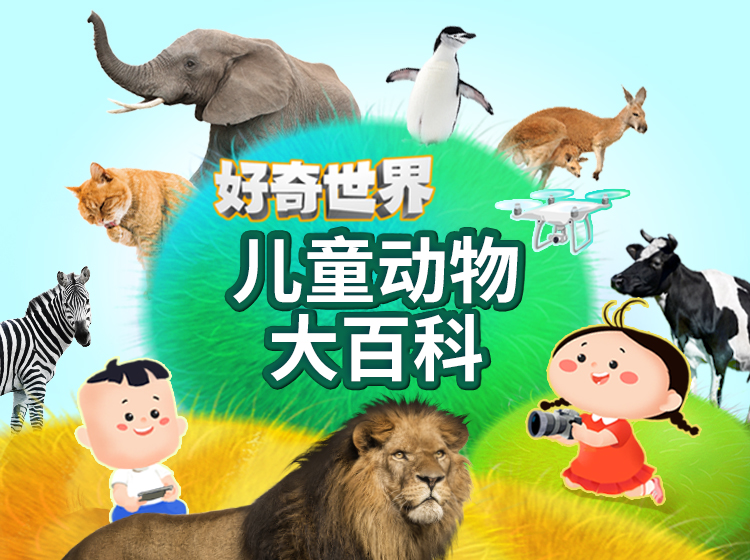 认识48种常见动物，解锁500+个趣味科普知识，开启生命科学启蒙，一起向动物王国出发吧！
