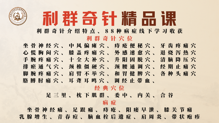 孙利群老师利群奇针精品课