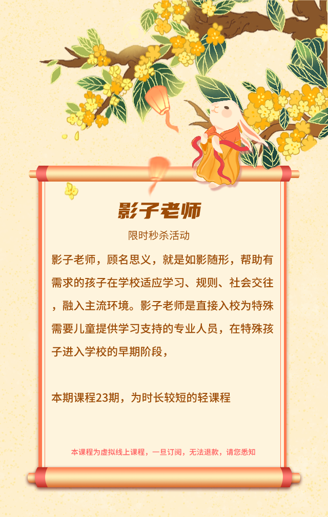 影子老师课程