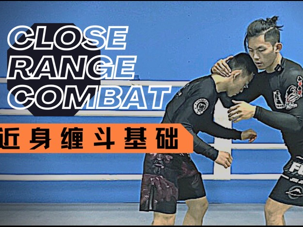 近身缠斗基础（Close Range Combat）