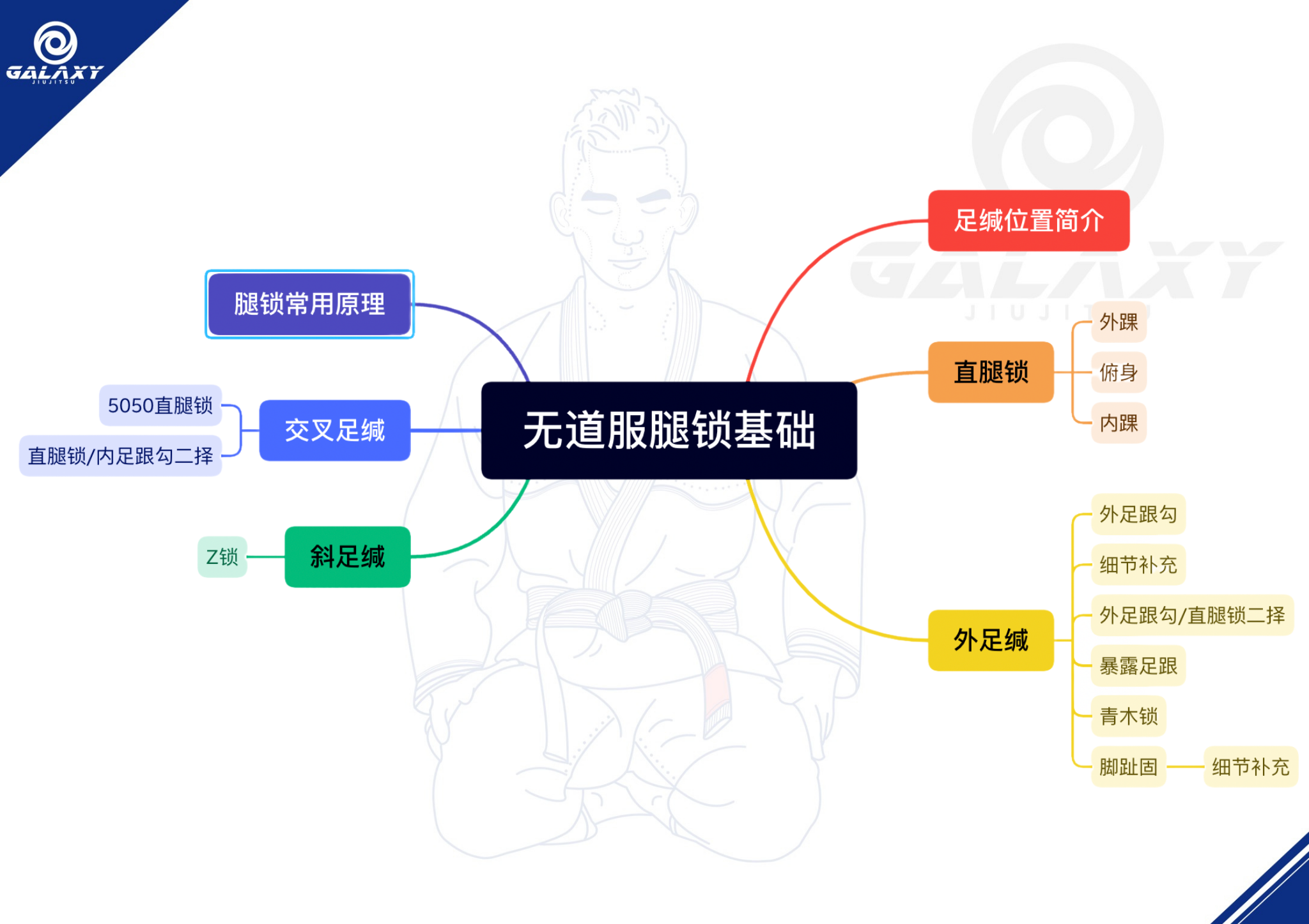 无道服锁腿基础(Leglock Fundamentals)