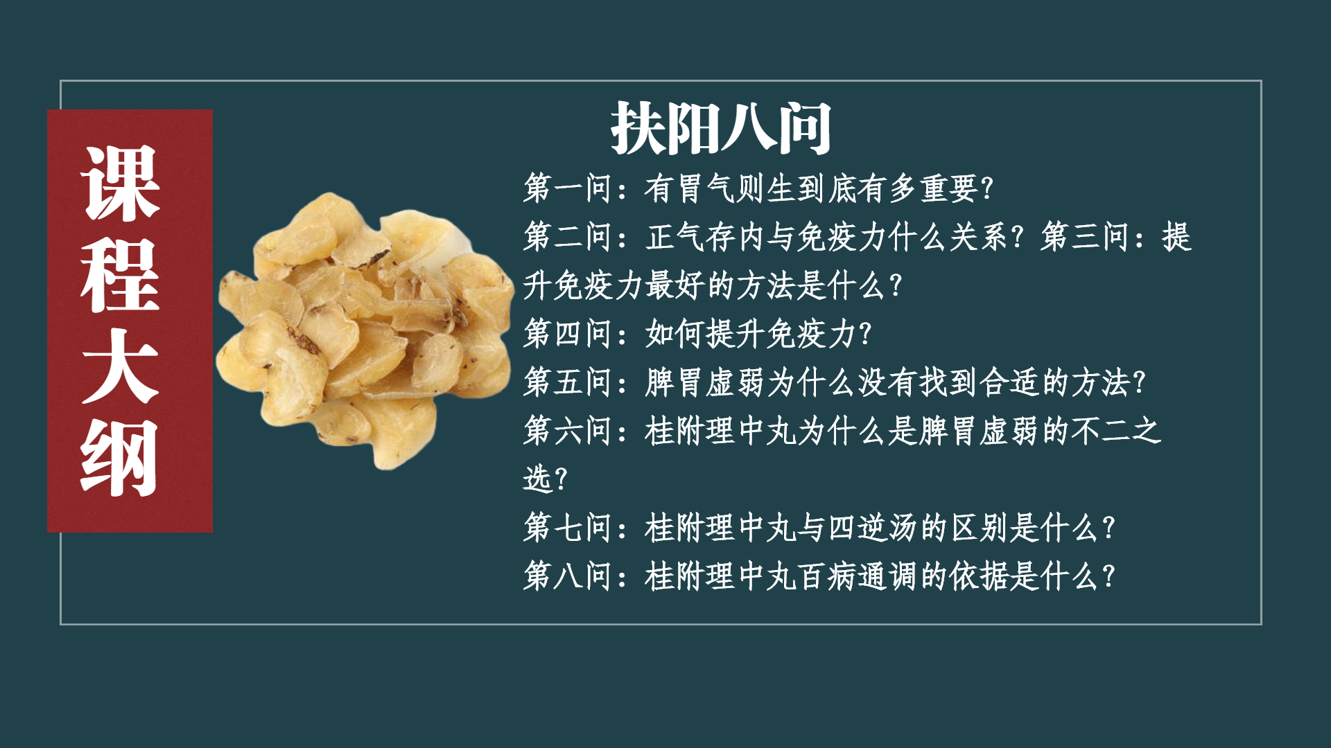 董学军讲中医之《扶阳八问》