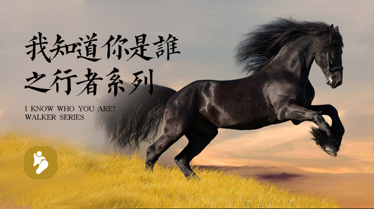 宇尘之音我知道你是谁系列