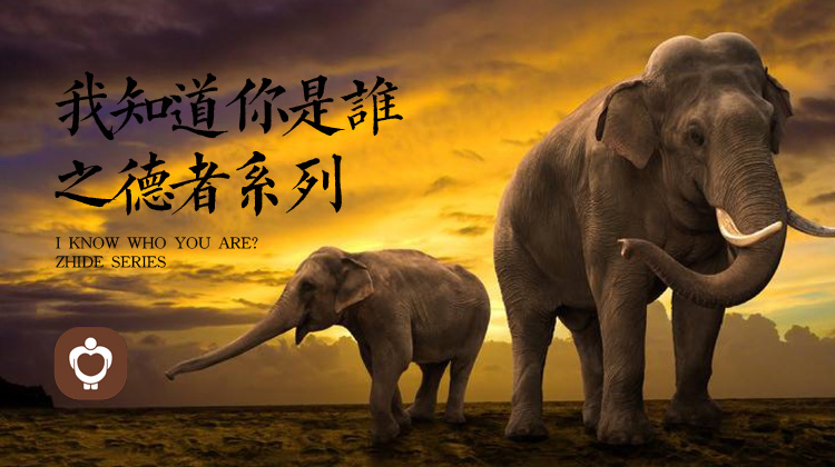 宇尘之音我知道你是谁系列