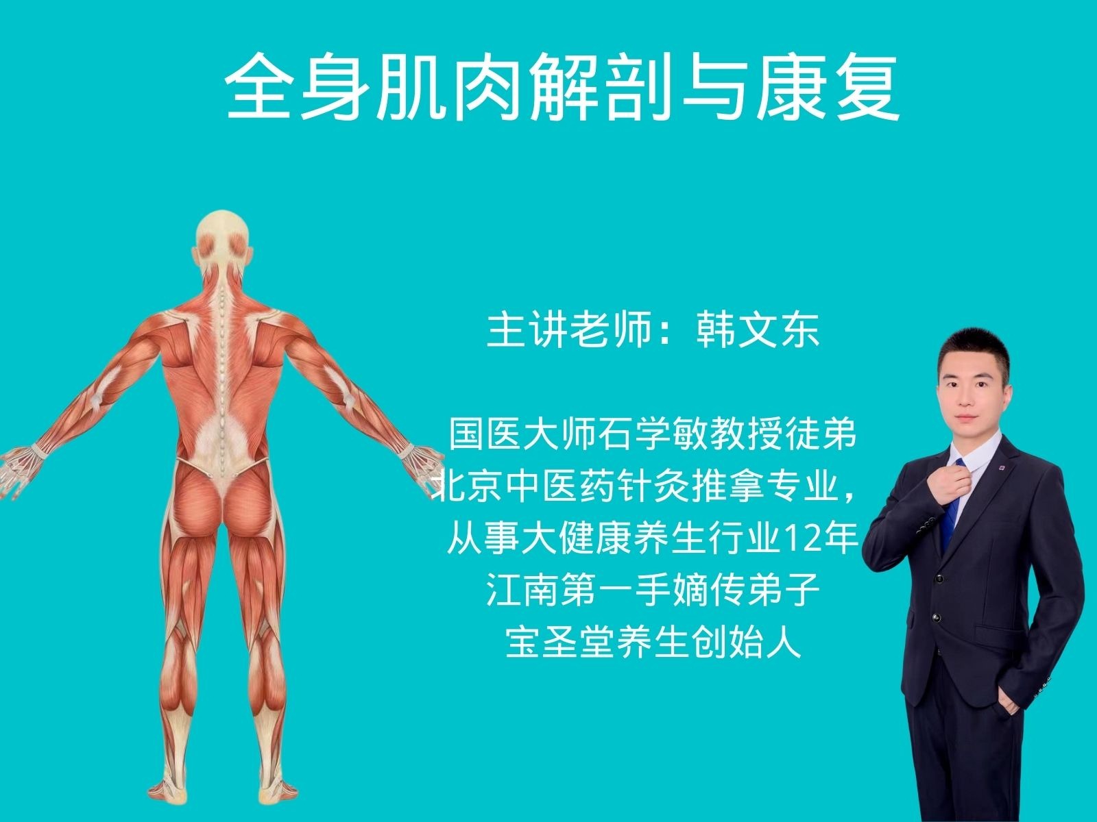 全身肌肉解剖与康复