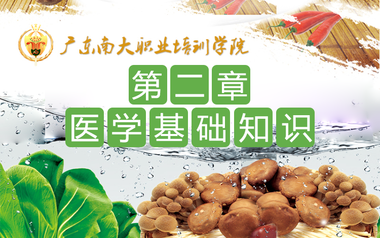 第二章 医学基础知识