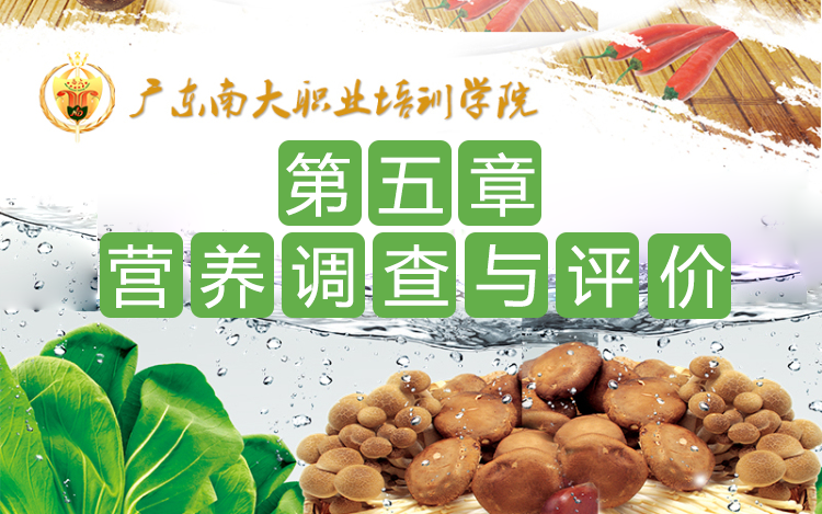 第五章  营养调查与评价
