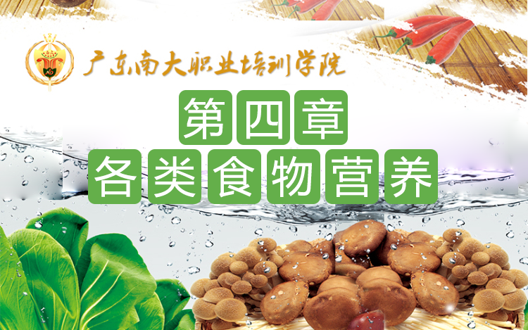第四章 各类食物营养