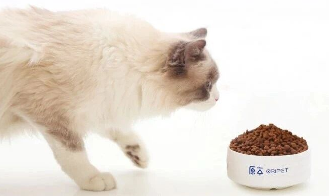 70%复购率不是靠套路：原本猫粮把私域做成了“线上版胖东来”